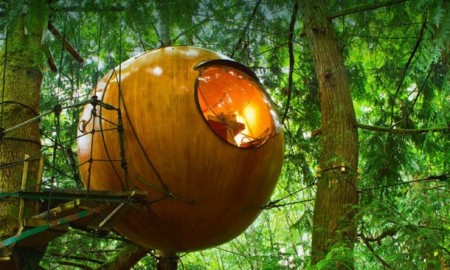 forest spheres