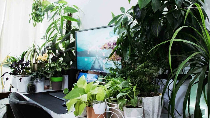 green space around a computrer sustainable office chair and a big screen