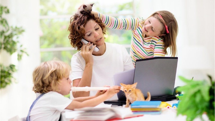 lockdown working with kids mother trying to work with her kids around a two little kittens