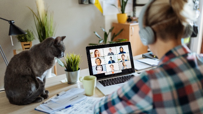 working from home woman with headphones on working on a laptop with her cat