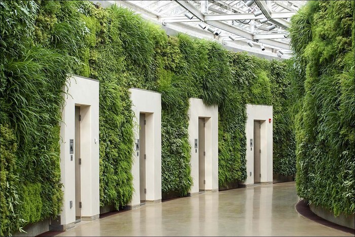 Green walls made of green plants with white doors