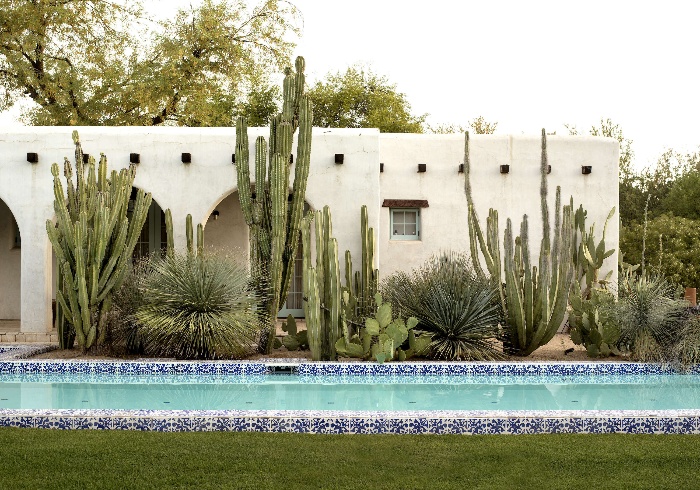 graden pool with colorful tiles and large cacti