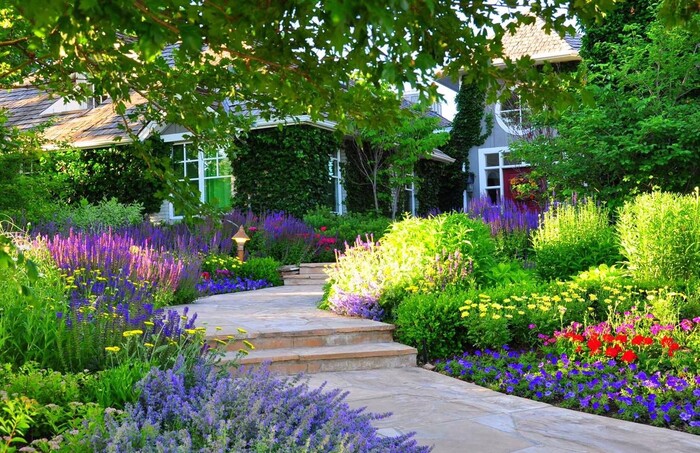 front garden with a pathway surrounded with flowers lavender and other grasses flowers and plants