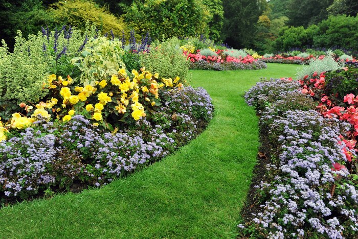 basic landscaping garden with grass flowers and plants arranged in a beautiful display