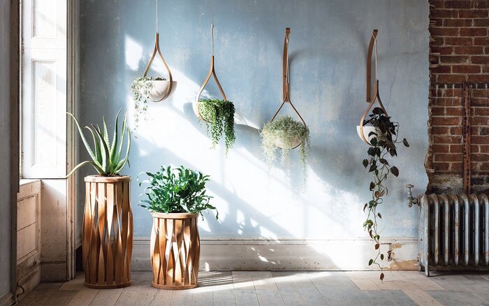 home green biophilic interior design living plants hanging from the ceiling