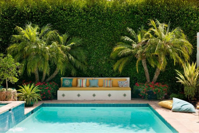 pool with palms and vines and resting area with a sofa