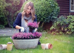 woman gardening