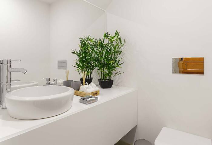 bathroom decor white bathroom with two bamboo trees in front of a large mirror