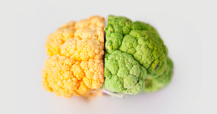 cauliflower yellow and green in the shape of a human brain on a white background