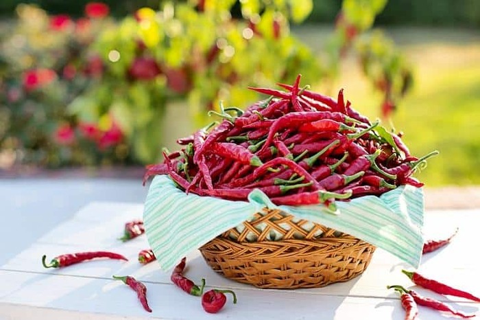 chilli peppers in a basket on a white table outdoors red peppers on the table