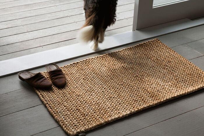 entrance mat brown slippers and a dog walking away 