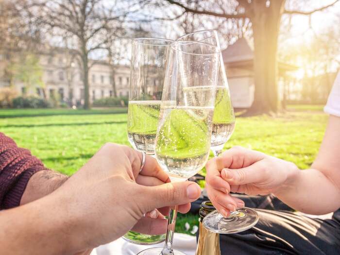 firends outdoors on a picnic with glasses of white wine