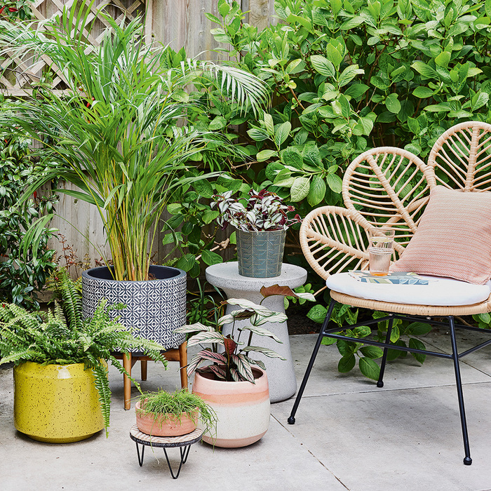 garden chill corner in a garden with living plants in different planters and a beautiful designer chair