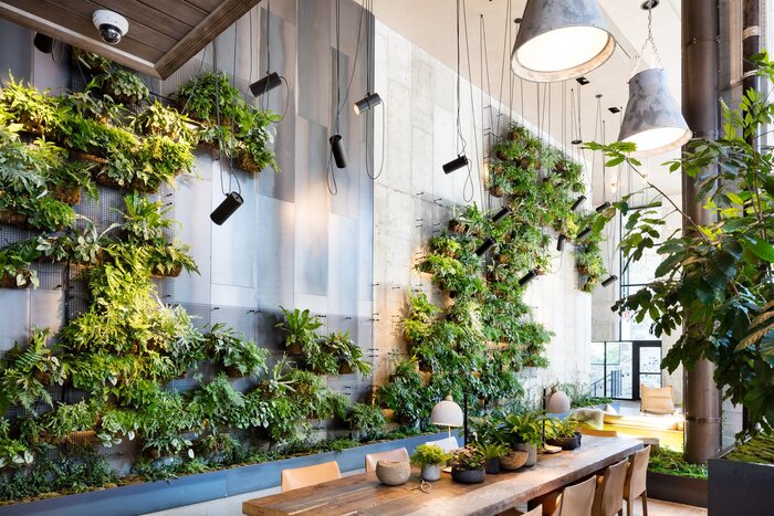 green hall design with a lot of living plants wooden table in the middle and modern lamps