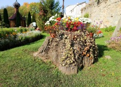 how to remove dangerous trees in your yard