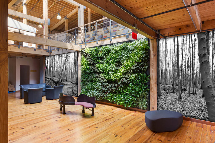 innovative interior design in an all wooden villa with a green living wall