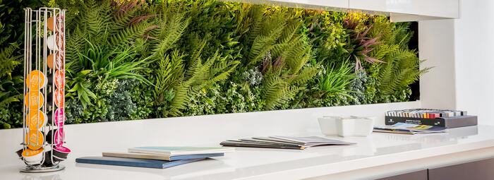 kitchen wall green live countertop with living plants in an all white space