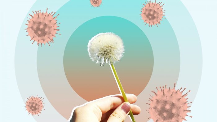 pollen allergies hand holding a dandelion with allergenic cells around it