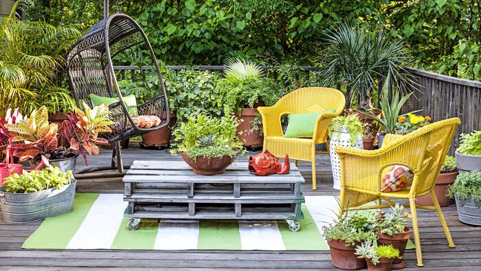 pretty garden with bright yellow furniture on a wooden deck with a lot of living green plants around