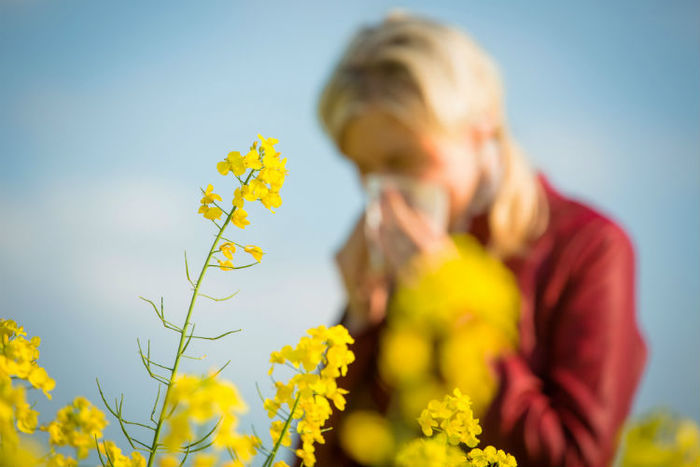 seasonal allergies woman with a white tissue sneezing in the background of yellow flowers