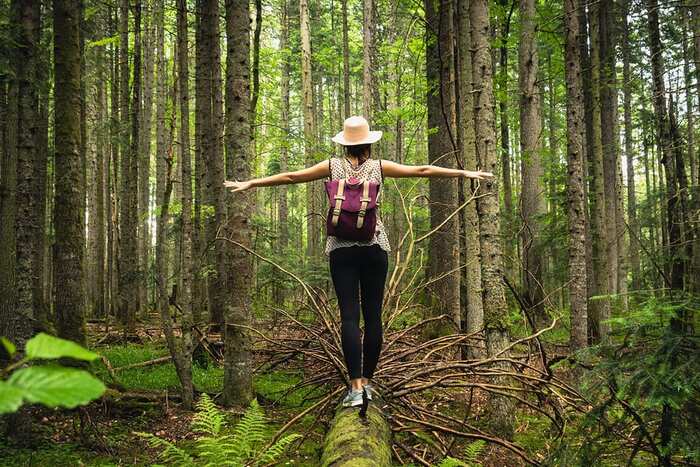 connect to nature woman with a backpack in the middle on a forest walking on a fallen tree trunk with her arms spread