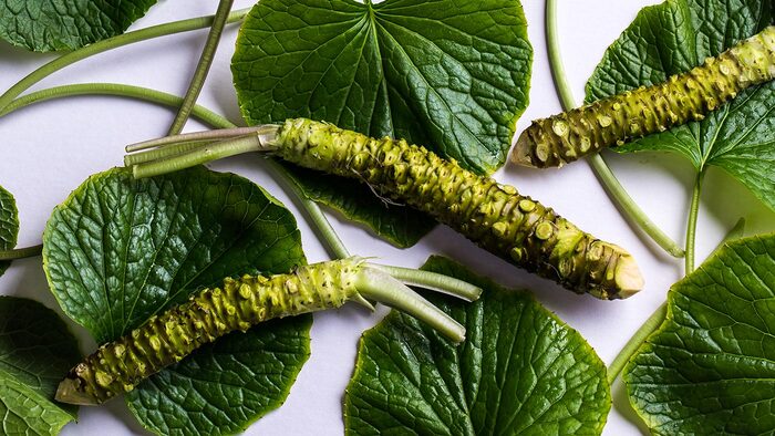 natural wasabi green roots and bright green leaves on a white table