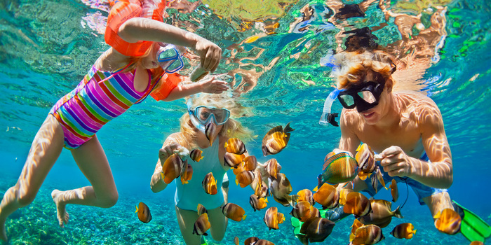 kids snorkeling under clear water with exotic fish 