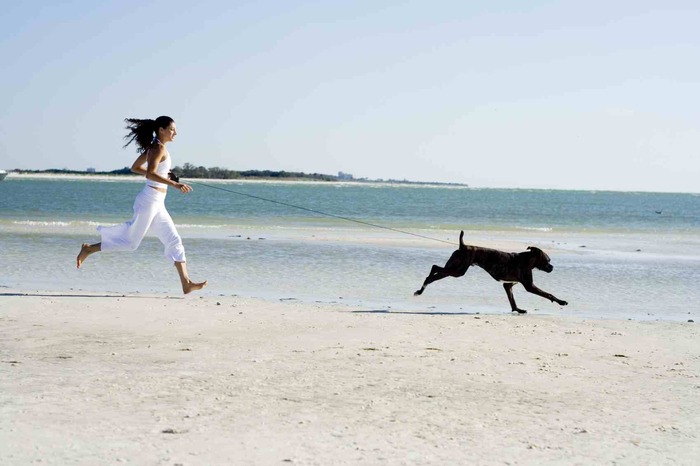 summer on the beach woman in white with black hair running on a sandy beach with a large dog