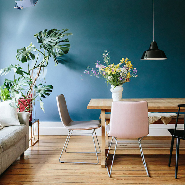 blue wall in a living space with green plants flower arrangement wooden table and chairs