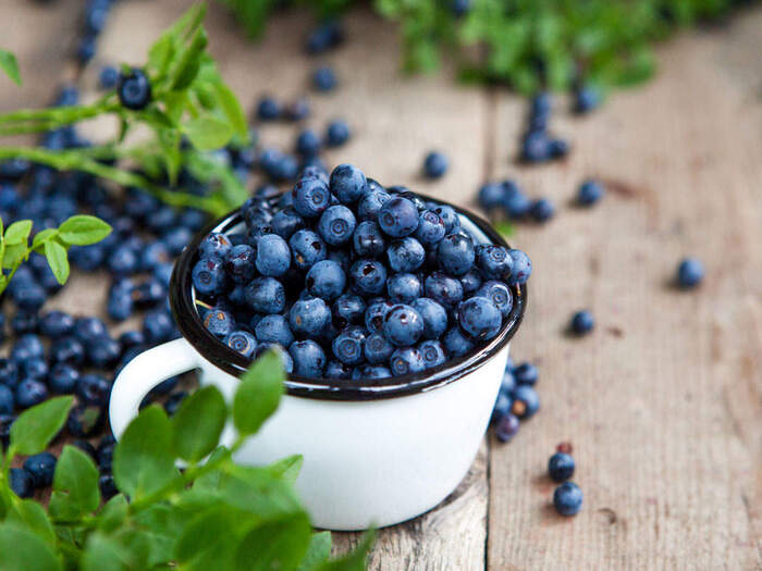 blueberries piled in a white cup and scattered around on a wooden table with green leaves