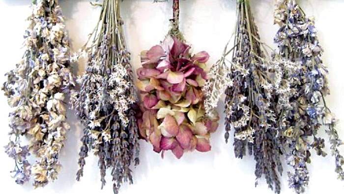 little bouquets of different dry flowers hanging on a white background