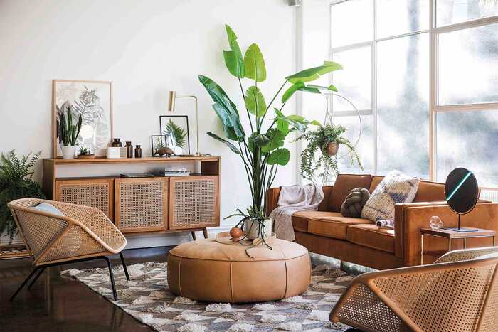 natural materials in the interior leather furniture large living plants in a living room with a large window