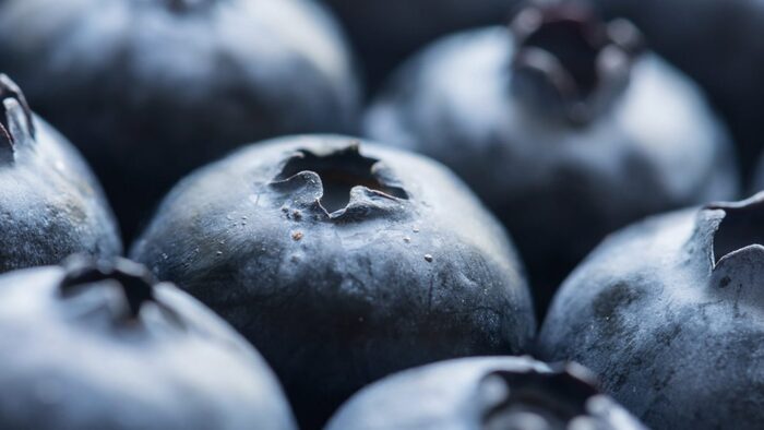 nutrition blueberries close up photo 