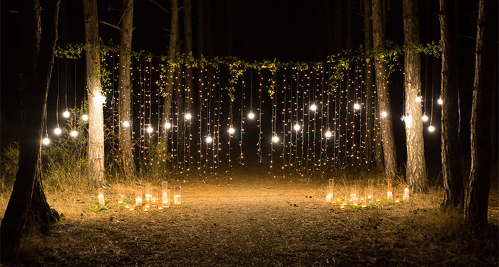 outdoor party lights wall of twinkling lights between the trees in a forest 