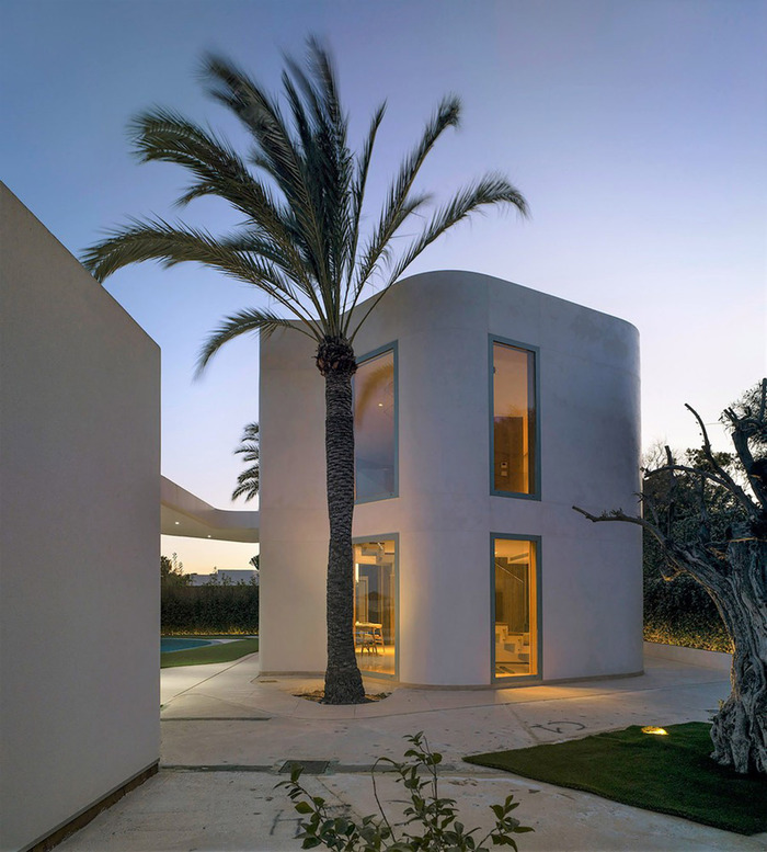 sleek exterior modern house with large windows and a palm tree in front surrounded by a modernistic landscape