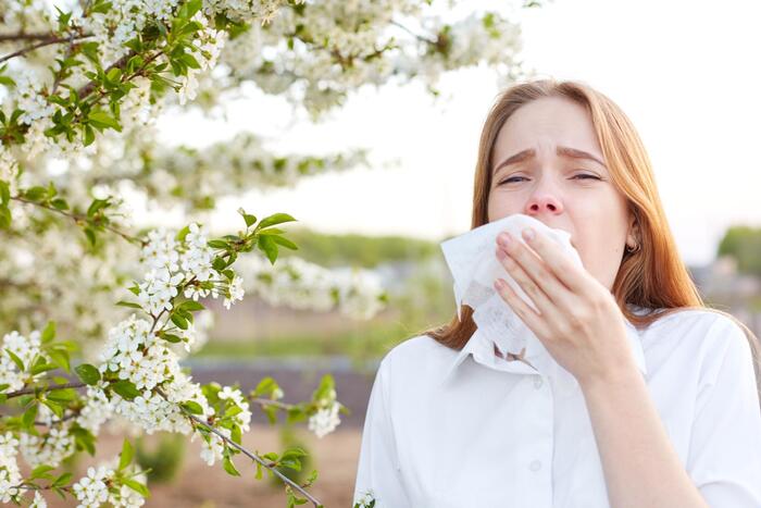 body seasonal changes woman in white shirt in front of a blossoming tree with a handkerchief in front of her face sneezing