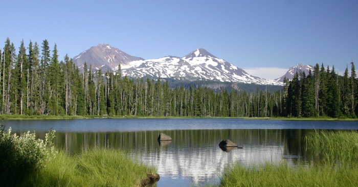cascade mountains with a lake in the forefront pine tree forest and snowy peaks in the background