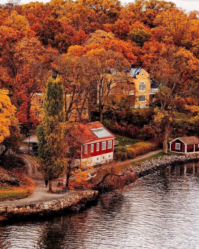 europe at fall river bank with colorful villas and a forest with foliage fall trees