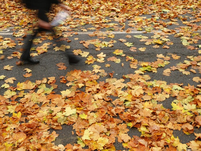 colorful fall leaves scattered on the ground woman walking in fast motion in the background