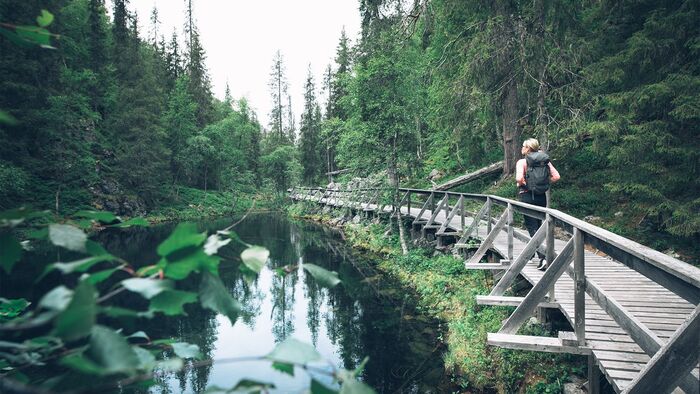 finland eco tourism woman with a backback walking on a wooden bridge in a forest along a river