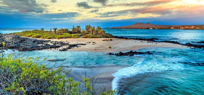 galapagos islands with the ocean and tropical plants huge sandy beaches
