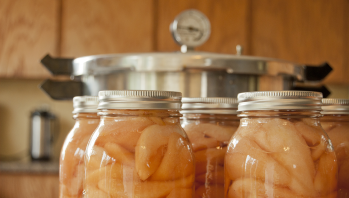 An Overview of the most Popular Food Storage Methods - PRETEND Magazine