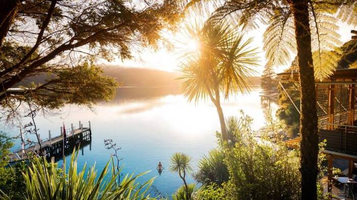 new zealand eco tourism picture on a lake at sunrise surrounded by palm trees and tropical plants