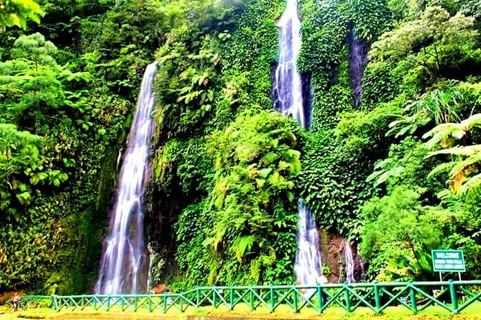 philippines waterfalls amidst lush tropical greenery and a bridge with green fence