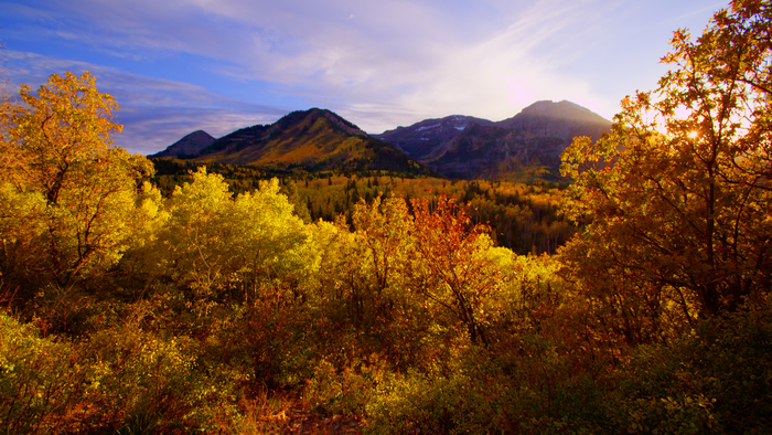 Fall drives nature landscape with mountains in the background with colorful trees and leaves