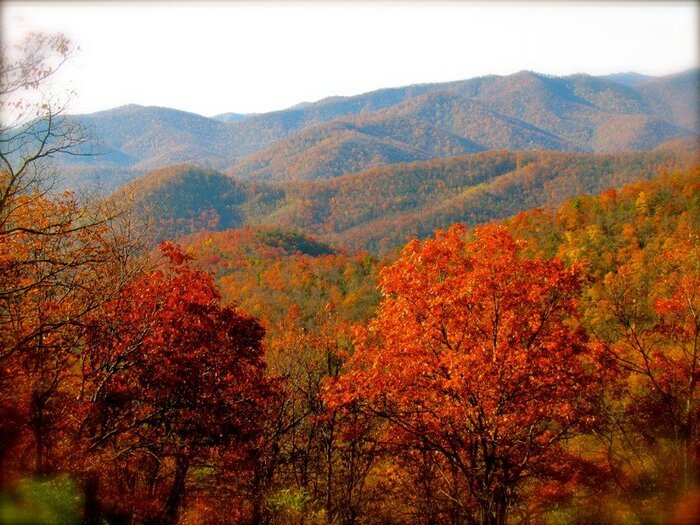 tenesee fall nature landscape colorful foliage trees and mountains