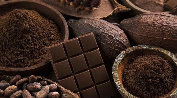 dark chocolate and ground cocoa in brown bowls scattered around