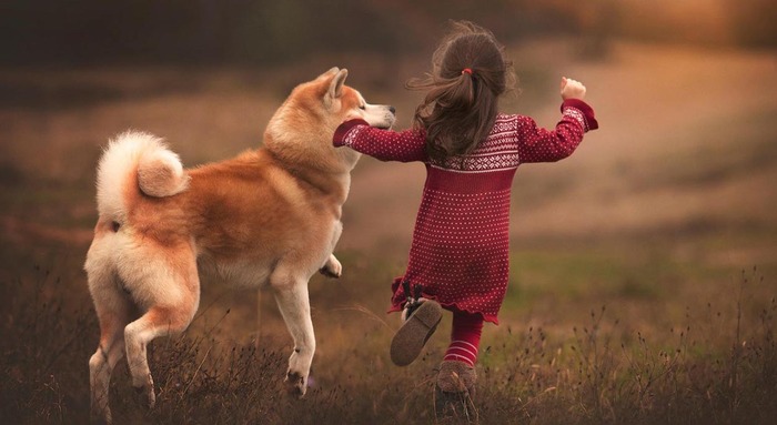 Little girl dressed in a red dress running outside with a large orange dog