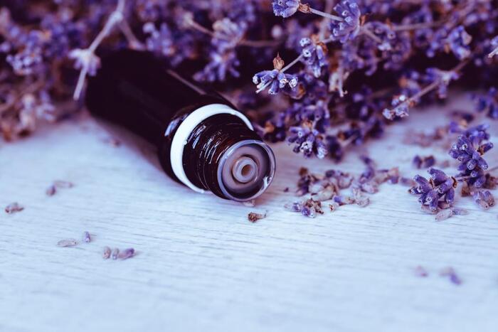 lavender oil in a dark bottle on a white wooden surface with lavender flowers scattered around