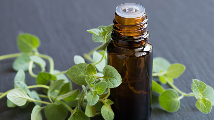oregano essential oil in a dark bottle on a grey surface with oregano leaves around it